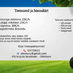 Niitmisteenus Lõuna-Eestis
