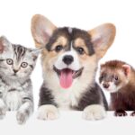 Everything you need for animals – all in one place!