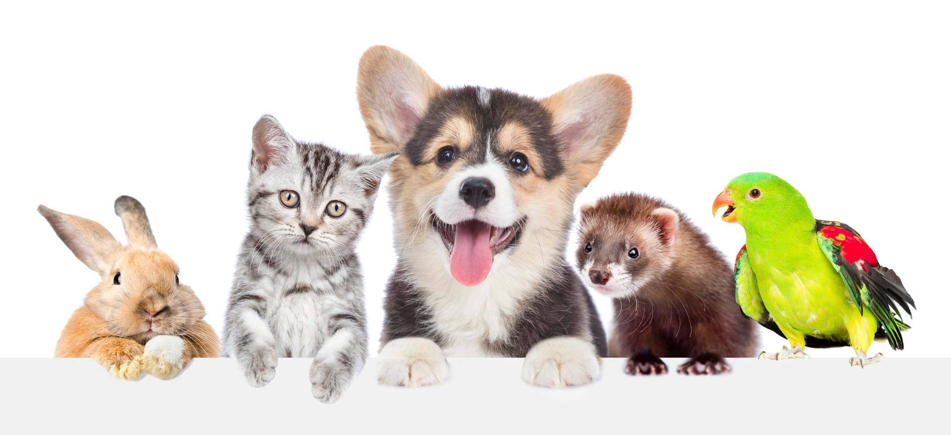 Everything you need for animals – all in one place!
