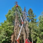 Tõstukautoga ohtliku kuivanud puu langetamine Harjumaal, professionaalne arboristitöö