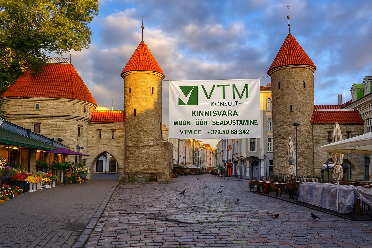 VTM Konsult: real estate and legalization