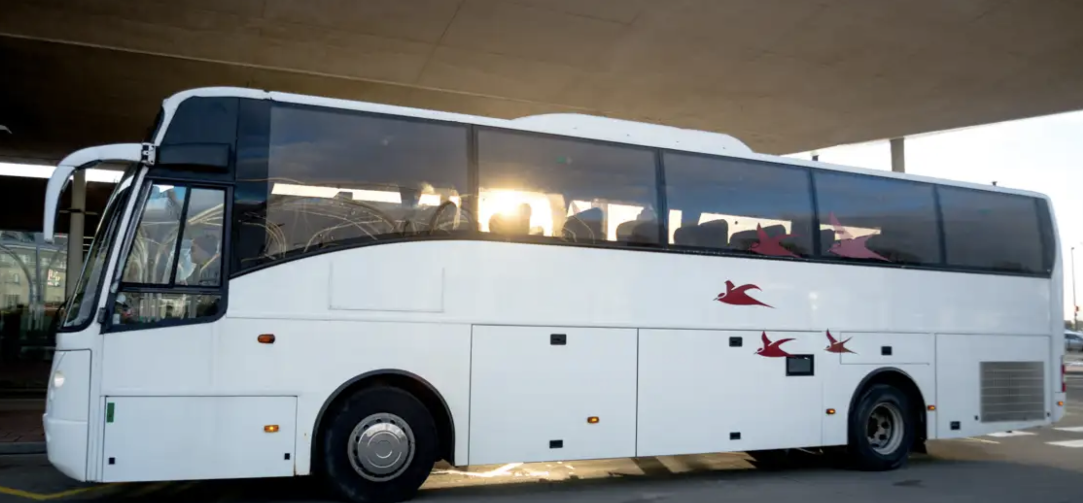Bussirent juhiga